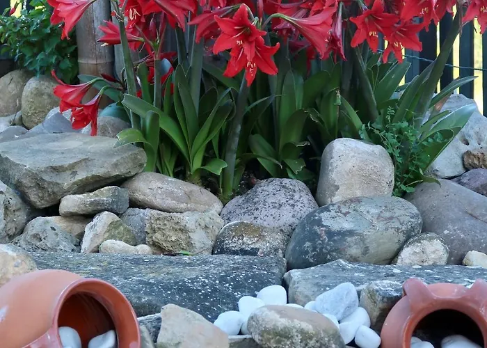 Dobela Enea Laguardia